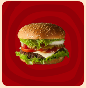 VEGGIE DELIGHT BURGER